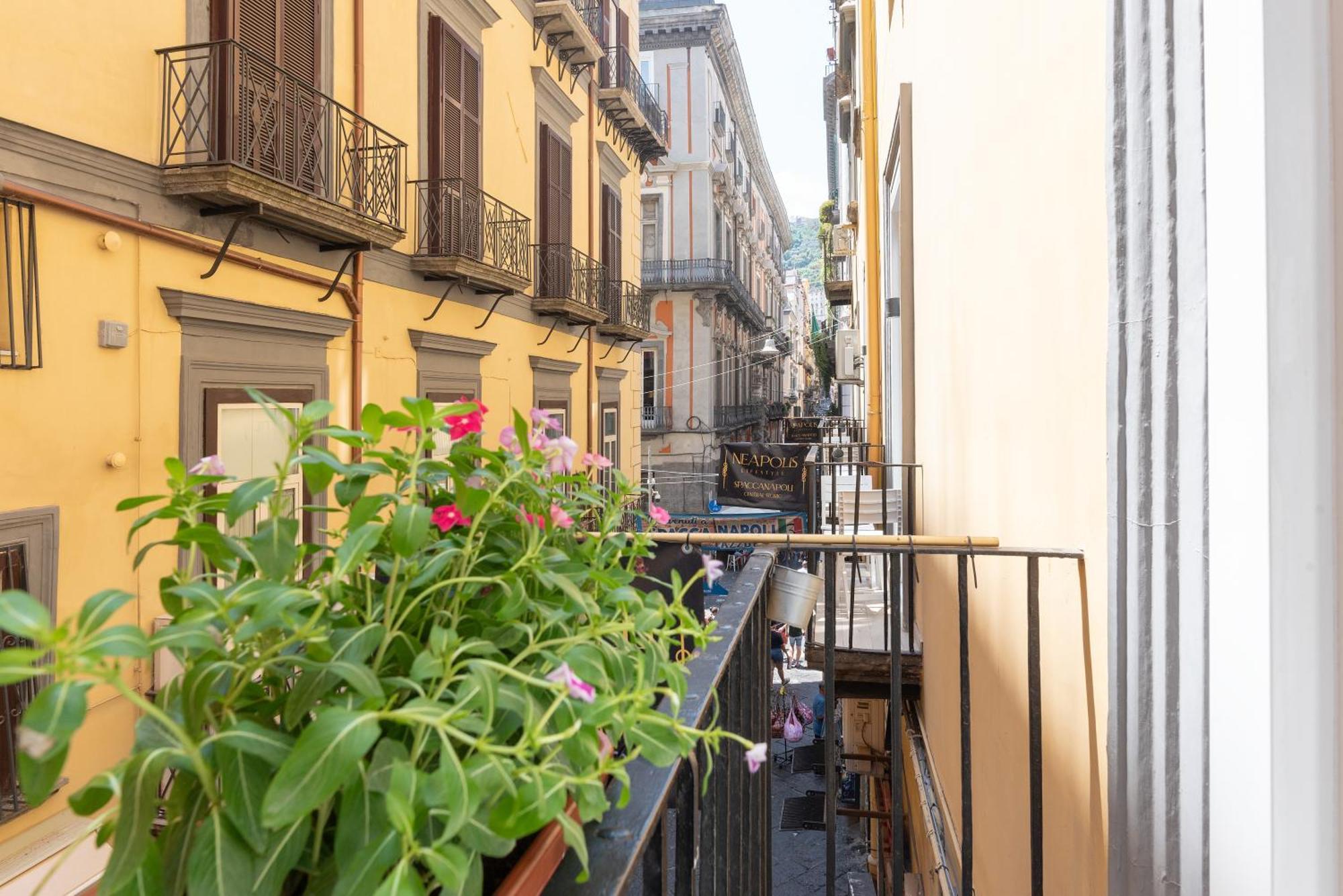 Bed & Breakfast Neapolis Lifestyle