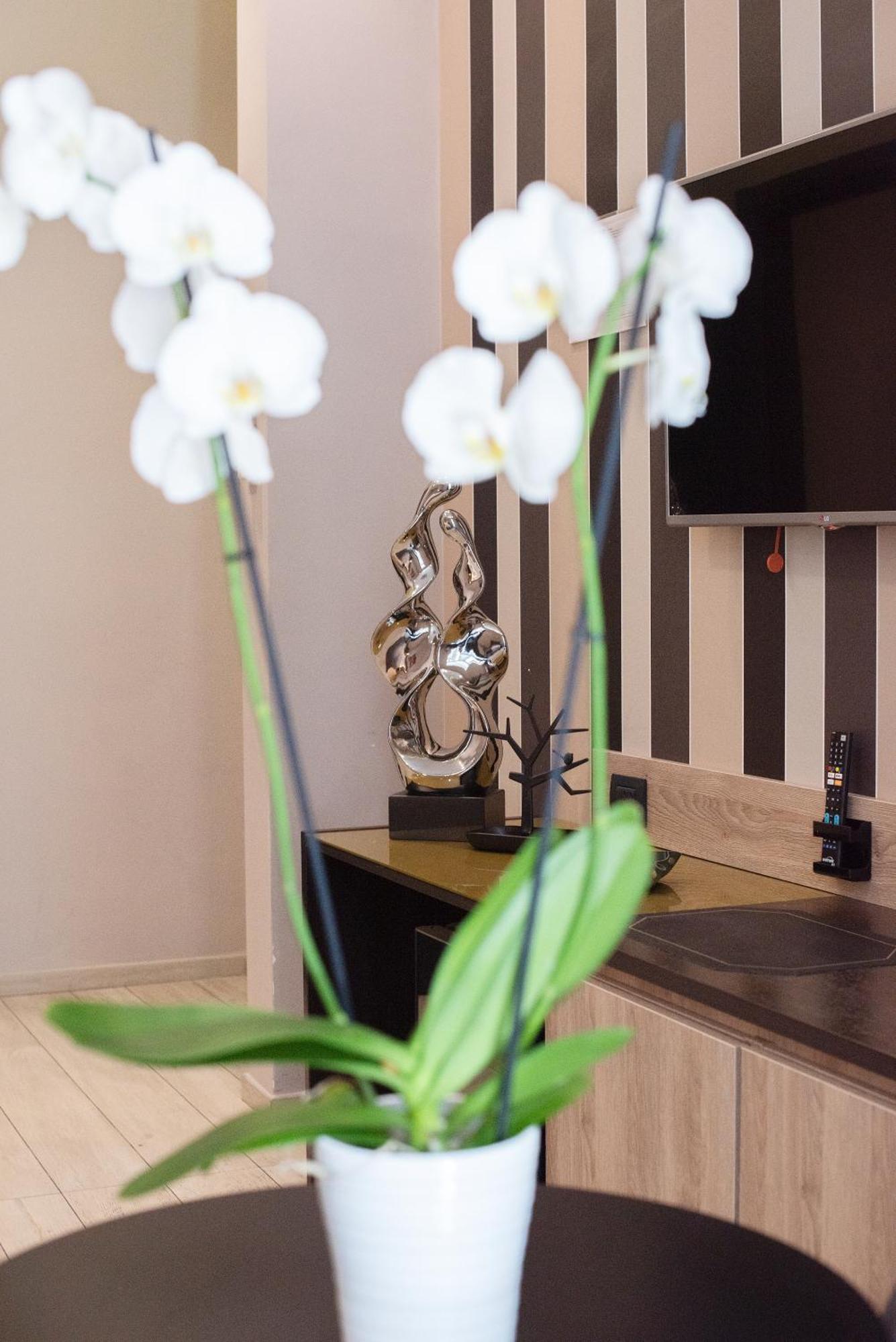Neapolis Lifestyle Bed & Breakfast